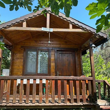 Olimpos Bungalov Apart Aparthotel Balikliova Exteriör bild
